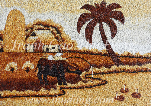 Vietnamese countryside